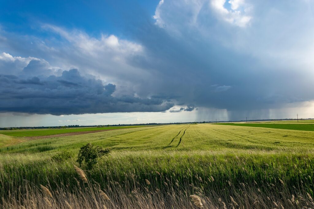 konyvesotto storm 5220380 1920